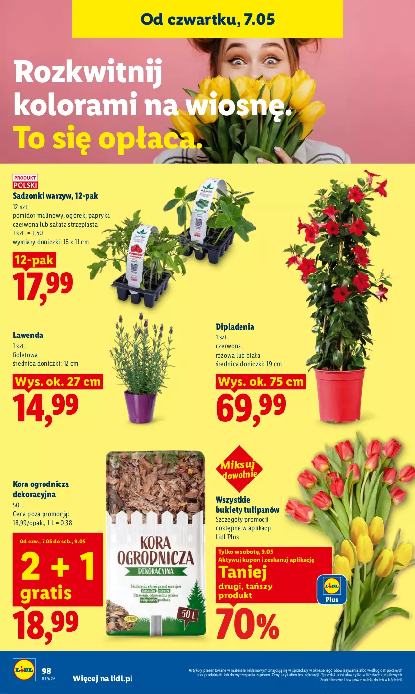 Gazetka promocyjna Lidl - Gazetka ważna od 7.05 do 9.05 - ważna 07.05 do 09.05.2026 - strona 102 - produkty: Bukiet, Gra, Ogórek, Papryka, Papryka czerwona, Piast, Pomidor malinowy, Sałat, Tulipan