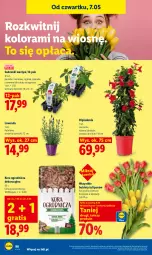 Gazetka promocyjna Lidl - Gazetka ważna od 7.05 do 9.05 - Gazetka - ważna od 09.05 do 09.05.2026 - strona 102 - produkty: Gra, Tulipan, Papryka czerwona, Papryka, Ogórek, Sałat, Piast, Bukiet, Pomidor malinowy