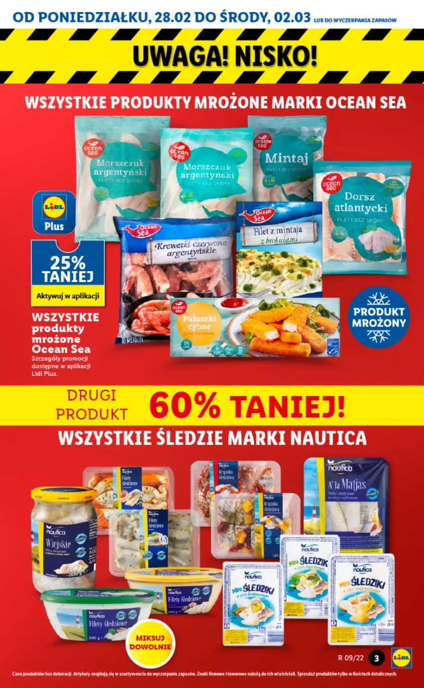 Gazetka promocyjna Lidl - GAZETKA - ważna 28.02 do 02.03.2022 - strona 3 - produkty: Dorsz, Fa, Filet z mintaja, Mintaj, Waga