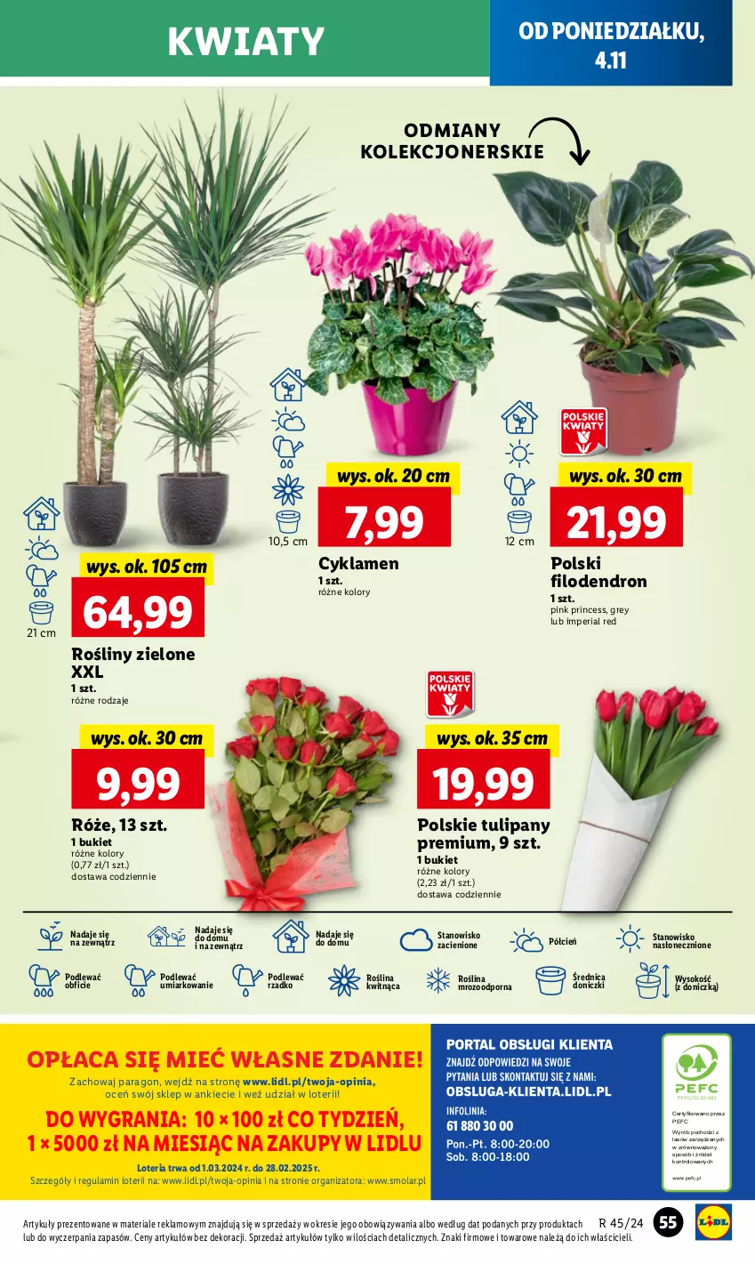 Gazetka promocyjna Lidl - GAZETKA - ważna 04.11 do 06.11.2024 - strona 61 - produkty: Bukiet, Cień, Cyklamen, Gra, Mola, O nas, Por, Sok, Tulipan