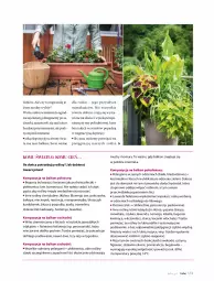 Gazetka promocyjna Hebe - Magazyn - Gazetka - ważna od 30.06 do 30.06.2021 - strona 131 - produkty: Top, Sok, Ser, Noż, Koc, Róża, Cień, Tran, Helio, Mięta, LG