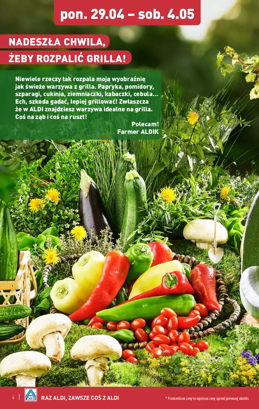 Gazetka promocyjna Aldi - Pełna oferta - ważna 29.04 do 04.05.2024 - strona 4 - produkty: Cebula, Fa, Grill, Papryka, Pomidory, Warzywa