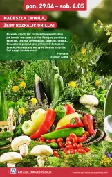Gazetka promocyjna Aldi - Pełna oferta - Gazetka - ważna od 04.05 do 04.05.2024 - strona 4 - produkty: Cebula, Warzywa, Papryka, Grill, Pomidory, Fa