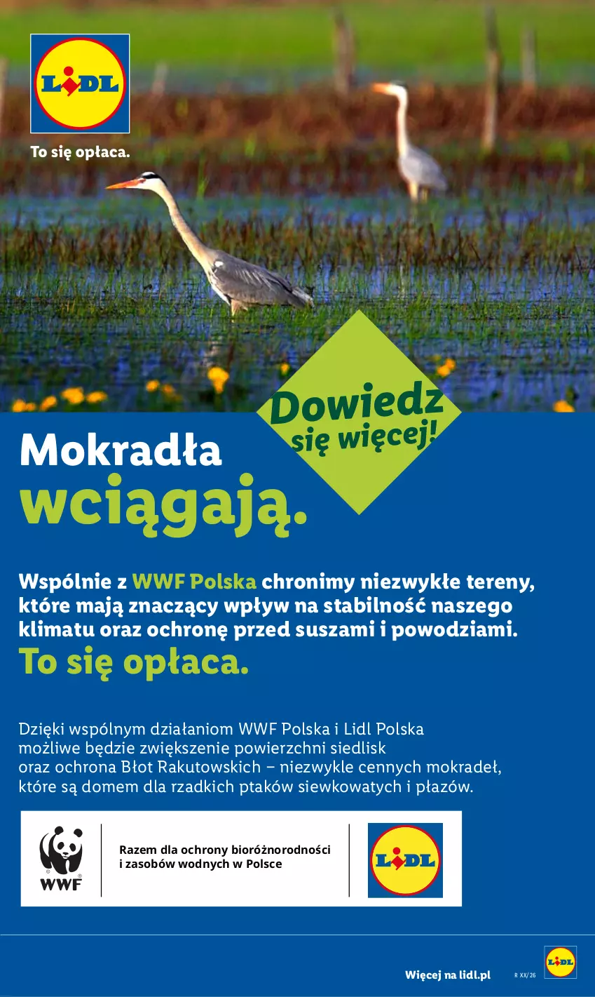 Gazetka promocyjna Lidl - Gazetka ważna od 20.07 do 22.07 - ważna 20.07 do 22.07.2026 - strona 101