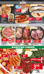 Gazetka promocyjna E Leclerc - Gazetka - ważna od 06.07 do 06.07.2024 - strona 23 - produkty: Tusz, Pstrąg, Grunt, Pomidory, Mięso