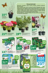 Gazetka promocyjna Auchan - Gazetka Stwórz ogród pełen kolorów Hipermarket Auchan - Gazetka - ważna od 22.03 do 22.03.2023 - strona 5 - produkty: Bukiet, Wiadro, Nawóz, Ogród, Magnez, LG