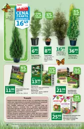Gazetka promocyjna Auchan - Gazetka Stwórz ogród pełen kolorów Hipermarket Auchan - Gazetka - ważna od 22.03 do 22.03.2023 - strona 6 - produkty: Sok, Cień, Kosz, O nas