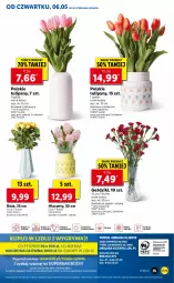 Gazetka promocyjna Lidl - GAZETKA - Gazetka - ważna od 08.05 do 08.05.2021 - strona 55 - produkty: Hiacynt, Tulipan, Cień, O nas, Bukiet