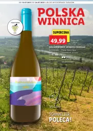 Gazetka promocyjna Lidl - Katalog Win - Gazetka - ważna od 31.07 do 31.07.2021 - strona 2 - produkty: Warzywa, Ser, Sałat, Owoce morza, Owoce