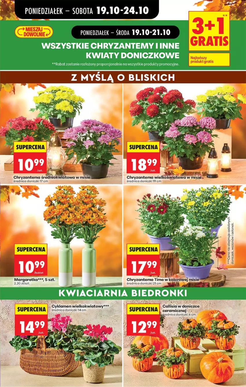 Gazetka promocyjna Biedronka - Od Poniedziałku - ważna 19.10 do 24.10.2026 - strona 27 - produkty: Bukiet, Chryzantema, Por, Wazon