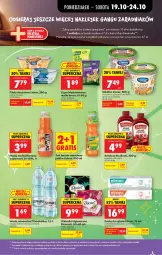Gazetka promocyjna Biedronka - Od Poniedziałku - Gazetka - ważna od 24.10 do 24.10.2026 - strona 43 - produkty: Kurczak, Sałatka, Ketchup, Sos, Sok, Por, Mus, Zupa, Pasta do zębów, Klej, Sałat, Woda mineralna, Kubuś, Pudliszki, Elmex, Woal, Woda, Napój, Mięta, Gyros, Knorr, Lisner