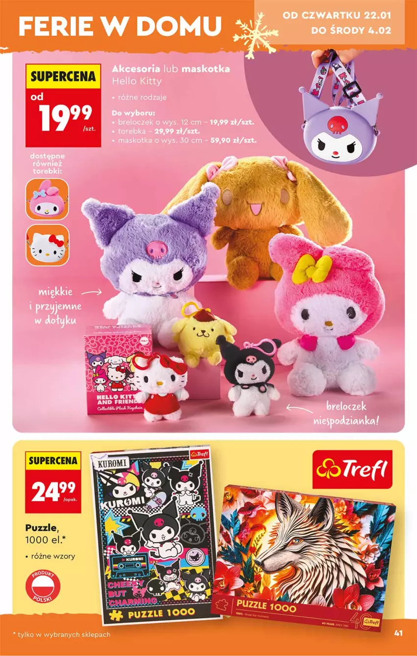 Gazetka promocyjna Biedronka - Okazje Tygodnia - ważna 17.01 do 31.01.2026 - strona 41