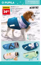 Gazetka promocyjna Biedronka - Okazje Tygodnia - Gazetka - ważna od 31.01 do 31.01.2026 - strona 47 - produkty: Sweter, Kurtka