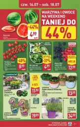 Gazetka promocyjna Aldi - Oferta weekendowa - Gazetka - ważna od 18.07 do 18.07.2026 - strona 11 - produkty: Warzywa, Por, Owoce, Arbuz
