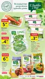 Gazetka promocyjna Intermarche - Gazetka Intermarche - Gazetka - ważna od 20.09 do 20.09.2023 - strona 13 - produkty: Piec, Por, Roszponka, Rukola, Ziemniaki, Sałat, Szpinak
