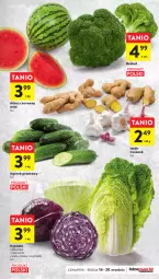 Gazetka promocyjna Intermarche - Gazetka Intermarche - Gazetka - ważna od 20.09 do 20.09.2023 - strona 15 - produkty: Ogórek, Czosnek, Arbuz, Grunt, Imbir