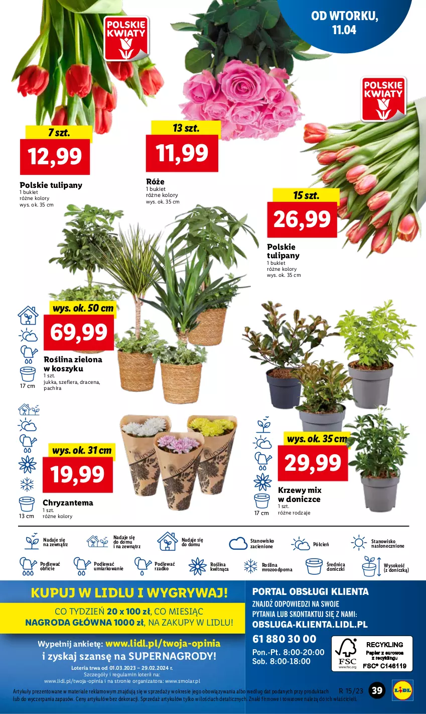 Gazetka promocyjna Lidl - GAZETKA - ważna 11.04 do 12.04.2023 - strona 45 - produkty: Bukiet, Chryzantema, Cień, Gry, Kosz, Mola, O nas, Por, Sok, Tulipan