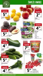 Gazetka promocyjna Intermarche - Gazetka - ważna od 31.07 do 31.07.2024 - strona 39 - produkty: Ogórek, Sałat, Owoce, Grunt, Grill, Fa