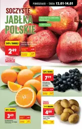 Gazetka promocyjna Biedronka - Gazetka - Gazetka - ważna od 19.01 do 19.01.2026 - strona 29 - produkty: Ser, Gra, Ziemniaki, Pomarańcze, Deser, Wino