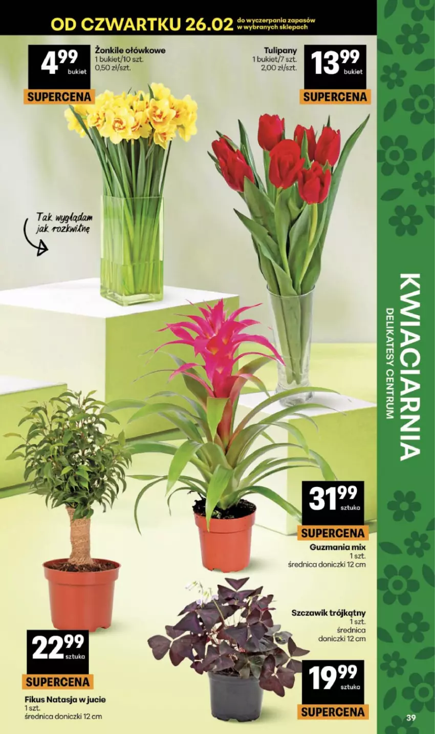 Gazetka promocyjna Delikatesy Centrum - Franczyza DC09 Czwartek - ważna 26.02 do 04.03.2026 - strona 39 - produkty: Bukiet, Tulipan