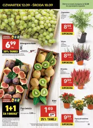 Gazetka promocyjna Delikatesy Centrum - NOWA GAZETKA Delikatesy Centrum od 12 września! 12-18.09.2024 - Gazetka - ważna od 18.09 do 18.09.2024 - strona 22 - produkty: Rum, Winogrona, Figi, Wino