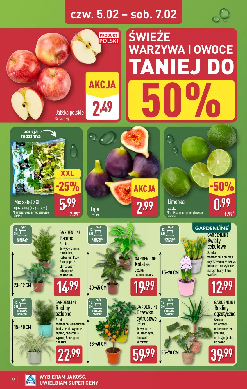 Gazetka promocyjna Aldi - Pełna oferta - ważna 02.02 do 07.02.2026 - strona 28 - produkty: Cynk, Hiacynt, Jabłka, Kumkwat, Limonka, Narcyz, Owoce, Por, Sałat, Tera, Warzywa, Warzywa i owoce