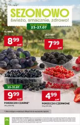 Gazetka promocyjna Stokrotka - Market - Gazetka - ważna od 29.07 do 29.07.2026 - strona 16 - produkty: Porzeczki czarne, Warzywa, Por, Jeżyny, Porzeczki czerwone, Optima, Owoce, Mięso