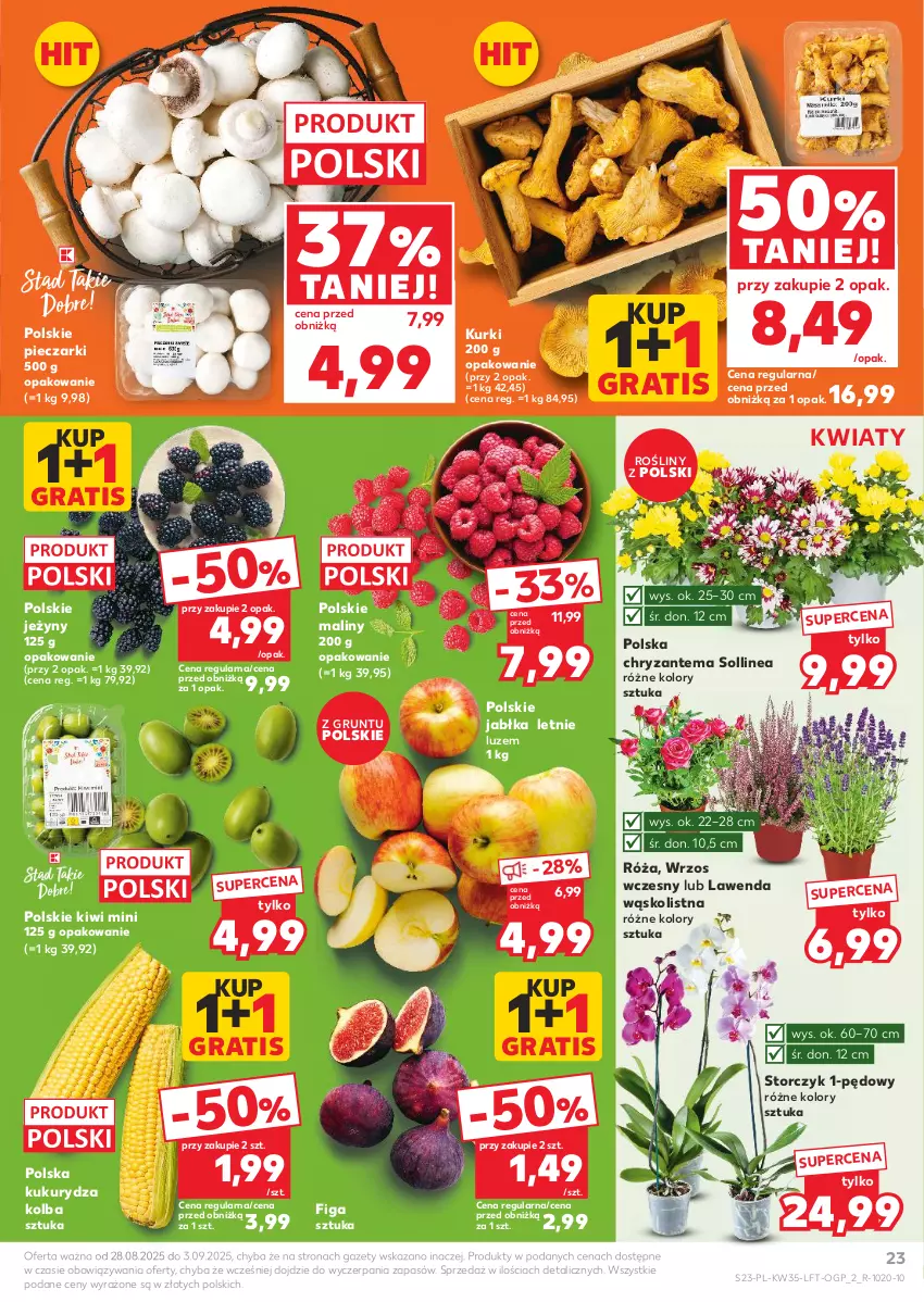 Gazetka promocyjna Kaufland - Gazetka tygodnia - ważna 28.08 do 03.09.2025 - strona 23 - produkty: Chryzantema, Gra, Grunt, Jabłka, Jeżyny, Kiwi, Kukurydza, Maliny, Piec, Róża, Storczyk
