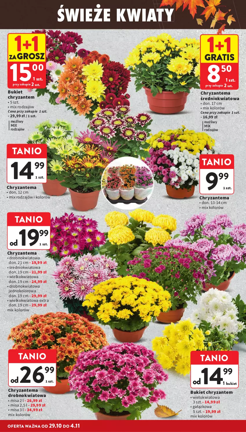 Gazetka promocyjna Intermarche - Gazetka promocyjna - ważna 29.10 do 04.11.2026 - strona 4 - produkty: Bukiet, Chryzantema, Gra