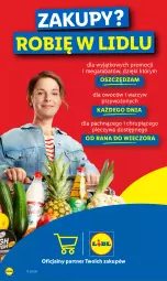 Gazetka promocyjna Lidl - GAZETKA - Gazetka - ważna od 29.06 do 29.06.2024 - strona 2 - produkty: Piec