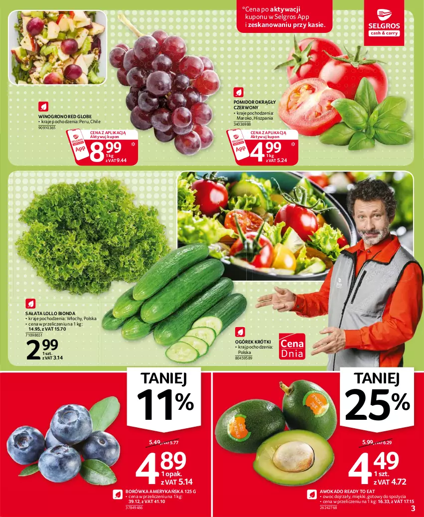 Gazetka promocyjna Selgros - Oferta spożywcza - ważna 06.04 do 14.04.2021 - strona 3 - produkty: Borówka, Borówka amerykańska, LG, Ogórek, Sałat, Wino