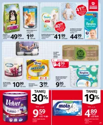 Gazetka promocyjna Selgros - Oferta spożywcza - Gazetka - ważna od 14.04 do 14.04.2021 - strona 21 - produkty: Rum, Gin, Pampers, Papier, Majtki, Friskies, Papier toaletowy, Velvet, Ręcznik, Rolki, Mola, Foxy, Pieluchomajtki