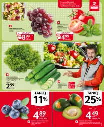 Gazetka promocyjna Selgros - Oferta spożywcza - Gazetka - ważna od 14.04 do 14.04.2021 - strona 3 - produkty: Borówka, Borówka amerykańska, Ogórek, Sałat, Wino, LG
