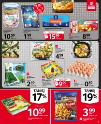 Gazetka promocyjna Selgros - Oferta spożywcza - Gazetka - ważna od 14.04 do 14.04.2021 - strona 9 - produkty: Warzywa, Nesquik, Jaja, Kaktus, Rybka na raz, Paluszki rybne, Lody, Lasagne bolognese, Lasagne, Frytki, Milka, Szpinak