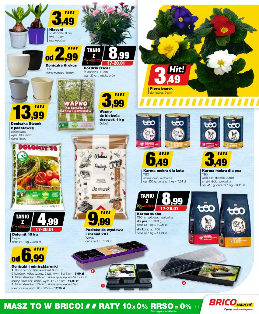 Gazetka promocyjna Bricomarche - Gazetka - ważna 17.01 do 28.01.2024 - strona 7 - produkty: Drób, Hiacynt, Krokus, Szklarenka, Wołowina