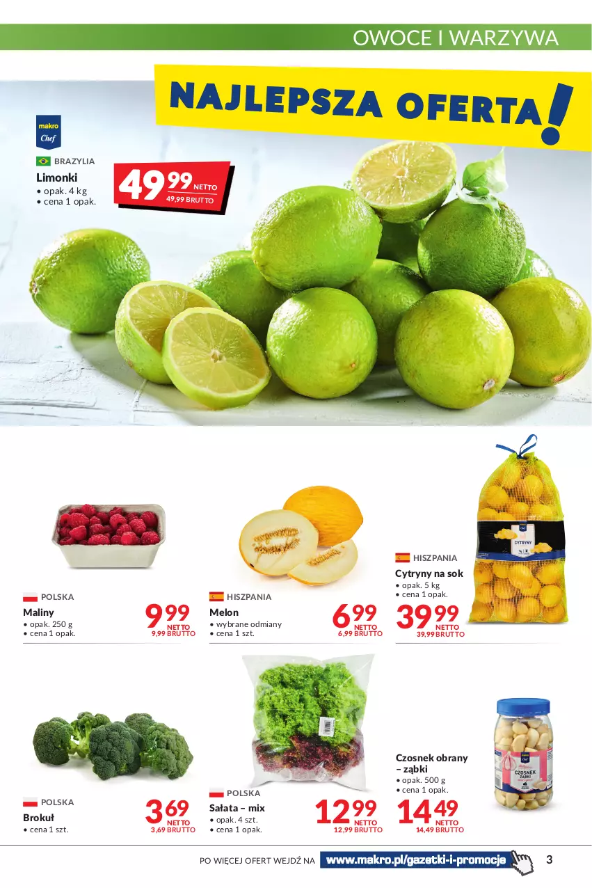 Gazetka promocyjna Makro - [Oferta promocyjna] Artykuły spożywcze i przemysłowe - ważna 12.07 do 25.07.2022 - strona 3 - produkty: Cytryny, Czosnek, Maliny, Melon, Owoce, Sałat, Sok, Warzywa