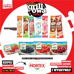Gazetka promocyjna Topaz - Gazetka - Gazetka - ważna od 15.06 do 15.06.2025 - strona 20 - produkty: Truskawki, Jagody, Lody, Maliny, Hortex
