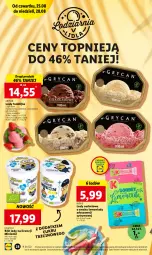 Gazetka promocyjna Lidl - GAZETKA - Gazetka - ważna od 28.08 do 28.08.2022 - strona 28 - produkty: Gry, Lody, Kubuś, Arbuz, Fa