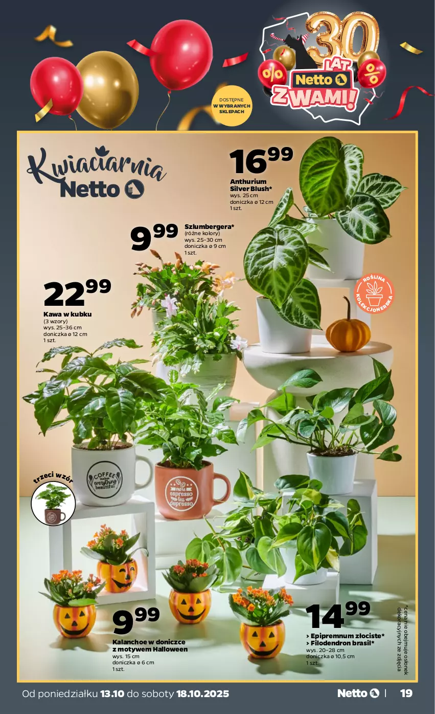 Gazetka promocyjna Netto - Od Poniedziałku - ważna 13.10 do 18.10.2025 - strona 19 - produkty: Kalanchoe, Kawa, Szlumbergera