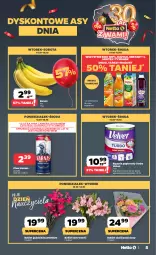 Gazetka promocyjna Netto - Od Poniedziałku - Gazetka - ważna od 18.10 do 18.10.2025 - strona 5 - produkty: Piwa, Piwo, Sok, Gra, Papier, Napoje, Velvet, Ręcznik, Tymbark, Bukiet, Harnaś, Nektar, Hortex