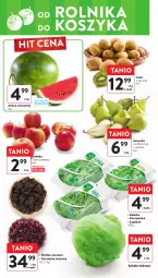 Gazetka promocyjna Intermarche - Gazetka - ważna od 17.04 do 17.04.2024 - strona 16 - produkty: Roszponka, Sałata lodowa, Rukola, Kosz, Kiwi, Sałat, Arbuz, Szpinak