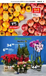 Gazetka promocyjna Netto - Artykuły spożywcze - Gazetka - ważna od 02.12 do 02.12.2023 - strona 5 - produkty: Gra, Granat, Kaki, Gwiazda, Storczyk
