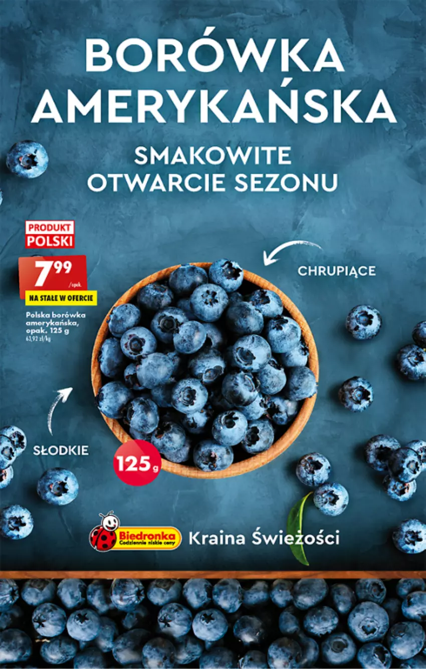 Gazetka promocyjna Biedronka - ważna 27.06 do 02.07.2022 - strona 58 - produkty: Borówka