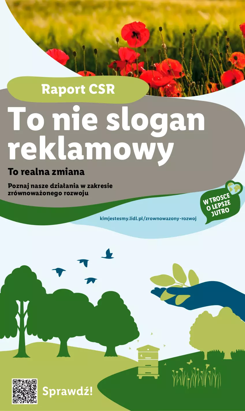 Gazetka promocyjna Lidl - GAZETKA - ważna 23.10 do 28.10.2023 - strona 31 - produkty: Por, Wazon