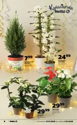 Gazetka promocyjna Netto - Od Soboty - Gazetka - ważna od 03.01 do 03.01.2026 - strona 8 - produkty: Hama, Fa