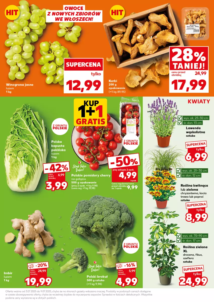 Gazetka promocyjna Kaufland - Mocny Start - ważna 07.07 do 09.07.2025 - strona 11 - produkty: Chryzantema, Grunt, Koc, Kocia trawa, Pomidory, Top, Wino, Winogrona