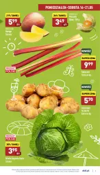 Gazetka promocyjna Aldi - Pełny katalog - Gazetka - ważna od 21.05 do 21.05.2022 - strona 3 - produkty: Ziemniaki, Mango