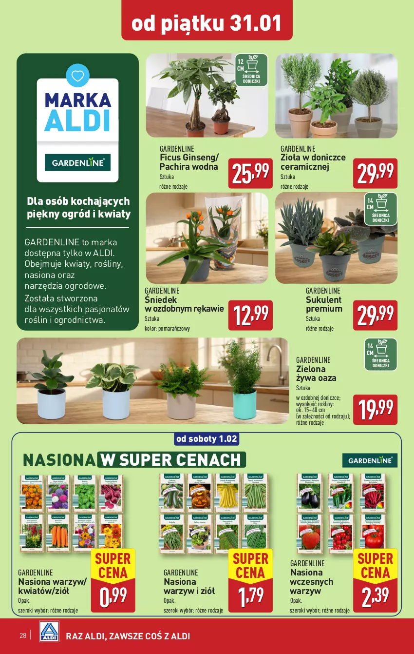 Gazetka promocyjna Aldi - Pełna oferta - ważna 27.01 do 01.02.2025 - strona 28 - produkty: Gin, Koc, Ogród, Sok, Sukulent, Zioła w doniczce