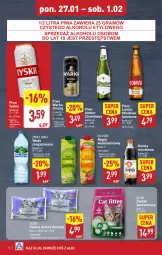 Gazetka promocyjna Aldi - Pełna oferta - Gazetka - ważna od 01.02 do 01.02.2025 - strona 10 - produkty: Piwa, Piwo, Gra, Tyskie, Warka, Woda niegazowana, Woda, Napój