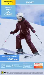 Gazetka promocyjna Lidl - GAZETKA - Gazetka - ważna od 09.11 do 09.11.2024 - strona 18 - produkty: Por, Koc, Finish, Sport